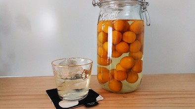 金柑酒の写真