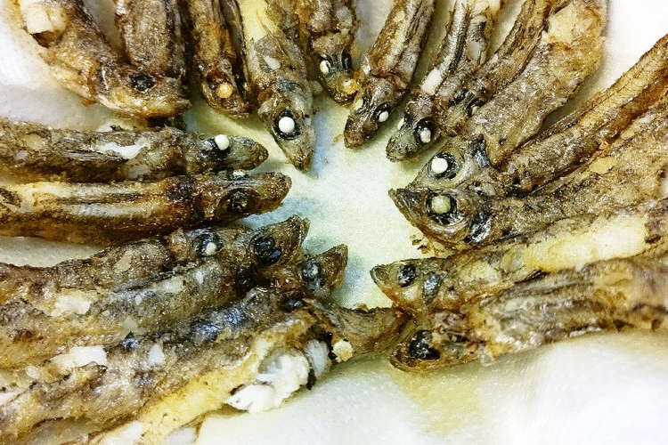 メヒカリのオリーブ油揚げ レシピ 作り方 By いくおっちゃん クックパッド 簡単おいしいみんなのレシピが378万品