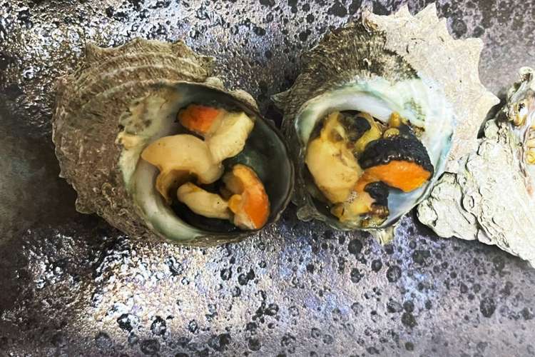 苦くない サザエのつぼ焼き レシピ 作り方 By ファットマン小川 クックパッド 簡単おいしいみんなのレシピが356万品