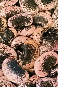 アムウェイのお鍋　大きな大きな　紫花豆