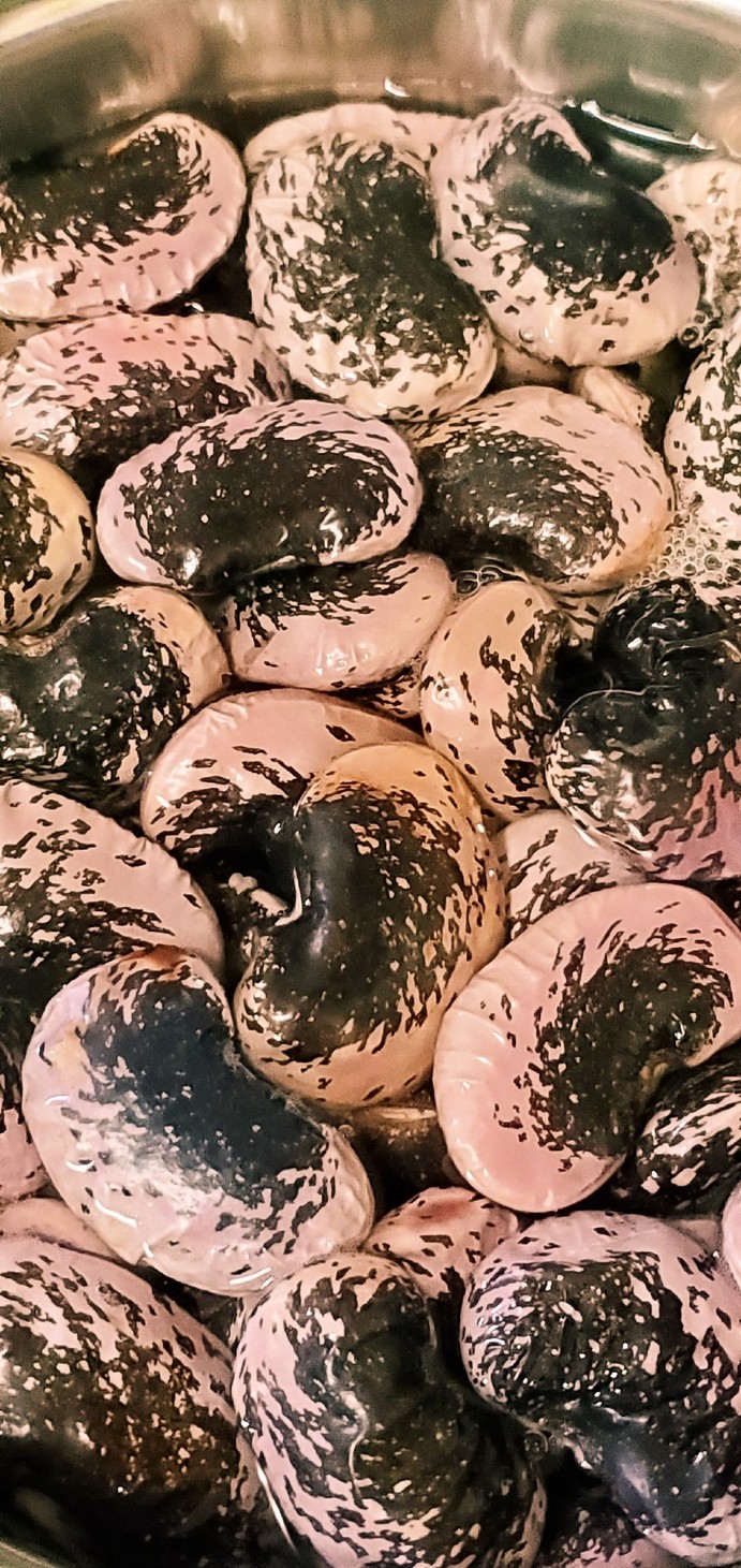 アムウェイのお鍋　大きな大きな　紫花豆の画像
