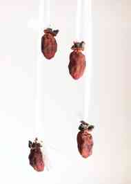 みんなが作ってる 干し柿 紐のレシピ クックパッド 簡単おいしいみんなのレシピが355万品