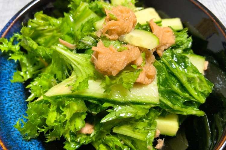 ツナとわさび菜の中華風サラダ レシピ 作り方 By ヤマユーキッチン クックパッド 簡単おいしいみんなのレシピが358万品
