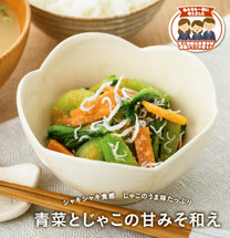 9ebb63537fe9bffd9c6f4a80d1377dab?u=12530262&p=1607932975