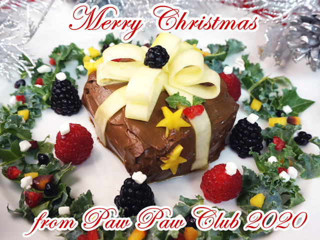 犬用クリスマスケーキ レシピ 作り方 By Pawpawclub クックパッド 簡単おいしいみんなのレシピが357万品 犬用クリスマスケーキ レシピ 作り方 By Pawpawclub クックパッド 簡単おいしいみんなのレシピが357万品