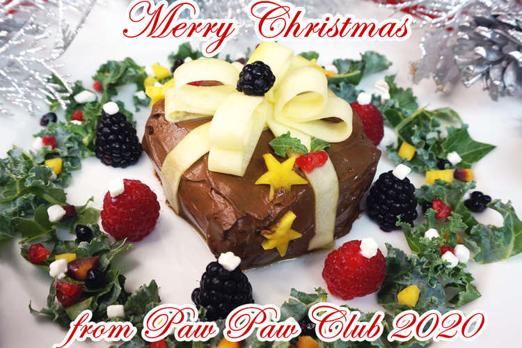 犬用クリスマスケーキ レシピ 作り方 By Pawpawclub クックパッド 簡単おいしいみんなのレシピが352万品