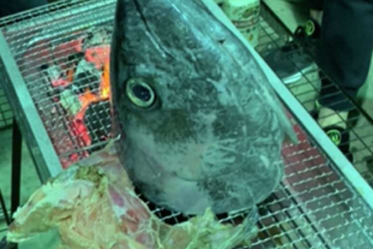 マグロの頭焼き レシピ 作り方 By グランメゾンはなはら クックパッド