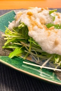 【3分で完成】水菜ととろろの雪雲サラダ