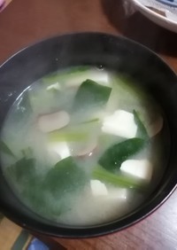 小松菜豆腐マッシュの味噌汁