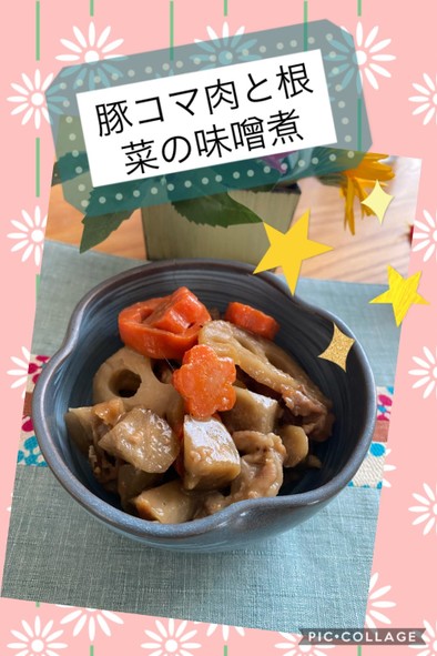 豚コマ肉と根菜の味噌煮の写真