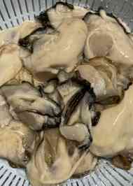 みんなが作ってる 牡蠣 洗い方のレシピ クックパッド 簡単おいしいみんなのレシピが348万品