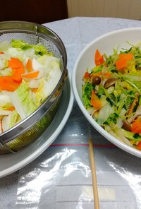 我が家の野菜冷凍保存・二種類編！！