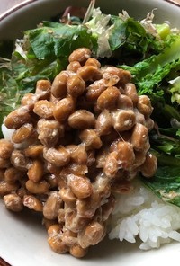 納豆と大根の葉っぱのご飯