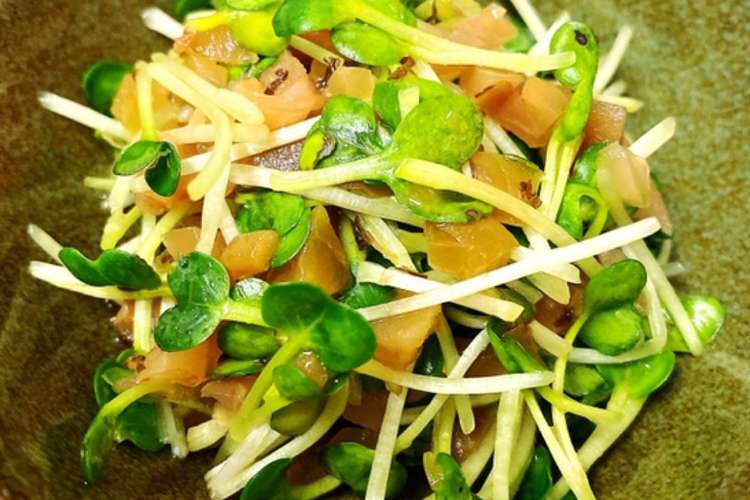 簡単 かいわれ大根の梅ザーサイ和え レシピ 作り方 By Yummysunny クックパッド 簡単おいしいみんなのレシピが359万品