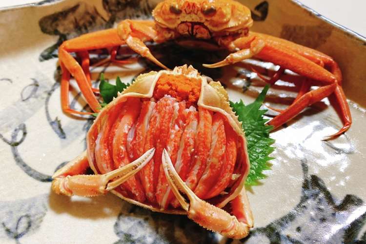 冬の味覚 香箱蟹 せこ蟹の調理法 レシピ 作り方 By 1cchie クックパッド 簡単おいしいみんなのレシピが376万品