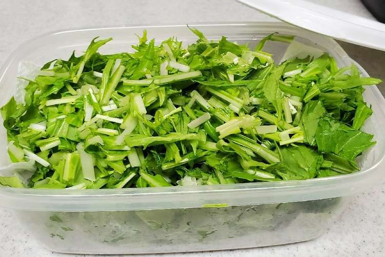 とんでもなく使いやすい水菜の保存法 レシピ 作り方 By Beナチュラル クックパッド 簡単おいしいみんなのレシピが376万品
