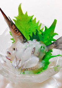 【旬の魚】サヨリの刺身【捌き方】