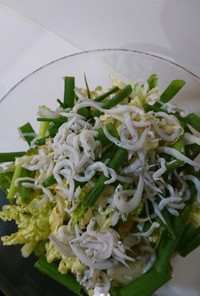 おうち居酒屋☆こねぎ&白菜のサラダ
