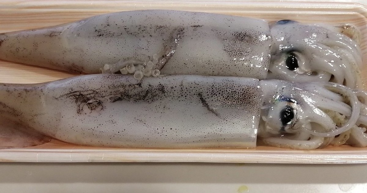 丸ごと一匹 いかの下処理 レシピ 作り方 By Akiuwa クックパッド 簡単おいしいみんなのレシピが354万品