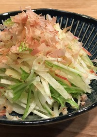 大根水菜サラダ〜りんごドレッシング〜