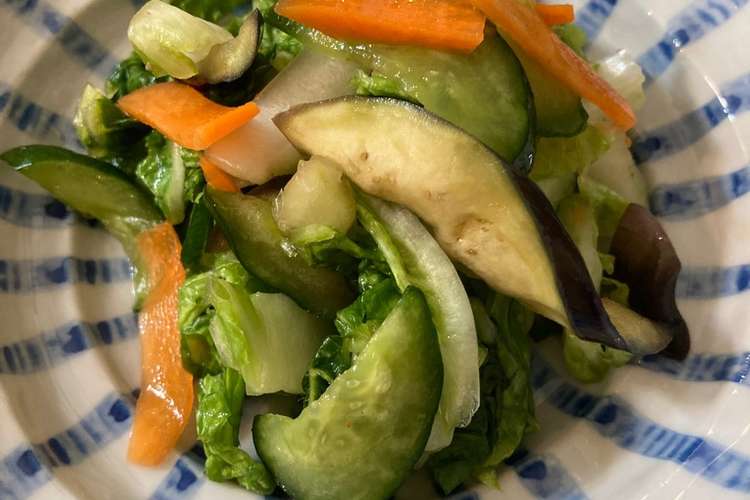 簡単浅漬け 白菜 茄子 きゅうり レシピ 作り方 By かあさんのしごと クックパッド 簡単おいしいみんなのレシピが370万品