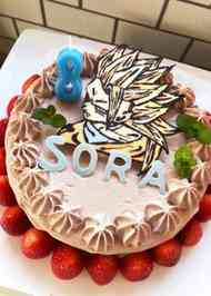 みんなが作ってる ドラゴンボール チョコレートのレシピ クックパッド 簡単おいしいみんなのレシピが350万品