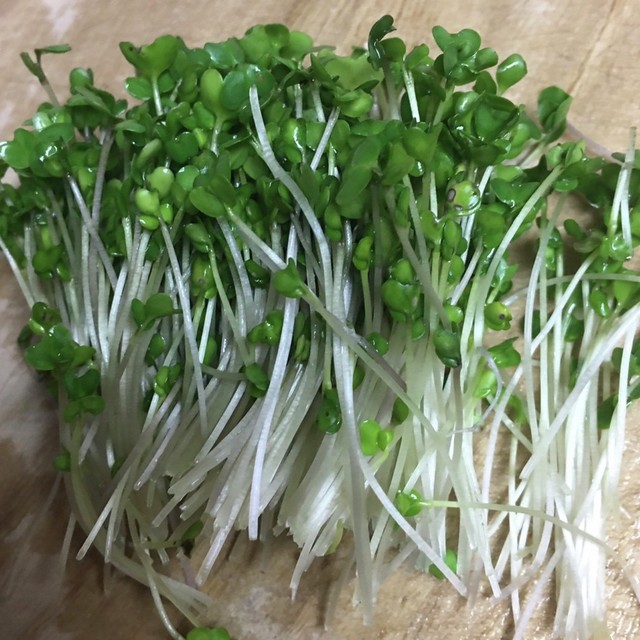 ブロッコリースプラウトの種の皮の取り方 レシピ 作り方 By むたえ クックパッド 簡単おいしいみんなのレシピが365万品