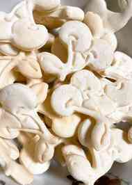 みんなが作ってる 犬用 お菓子のレシピ クックパッド 簡単おいしいみんなのレシピが360万品