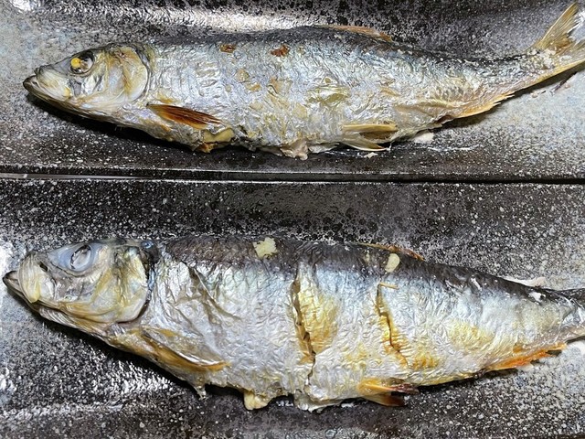 生ニシンの塩焼き レシピ 作り方 By ファットマン小川 クックパッド 簡単おいしいみんなのレシピが359万品 生ニシンの塩焼き レシピ 作り方 By ファットマン小川 クックパッド 簡単おいしいみんなのレシピが359万品