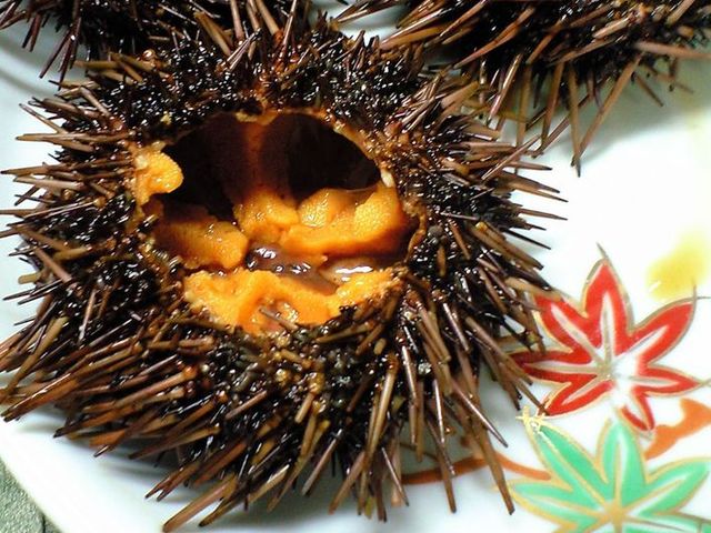 ほっくり とろける 活ウニの丸焼き レシピ 作り方 By ゆーたんたん クックパッド 簡単おいしいみんなのレシピが353万品 ほっくり とろける 活ウニの丸焼き レシピ 作り方 By ゆーたんたん クックパッド 簡単おいしいみんなのレシピが353万品