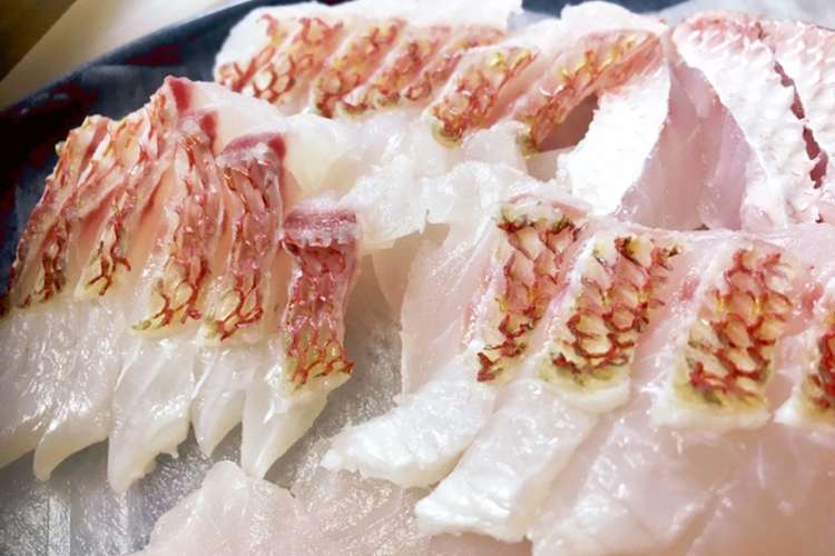 鳥羽沖レンコダイの刺身 湯引き レシピ 作り方 By Cookjay クックパッド 簡単おいしいみんなのレシピが376万品