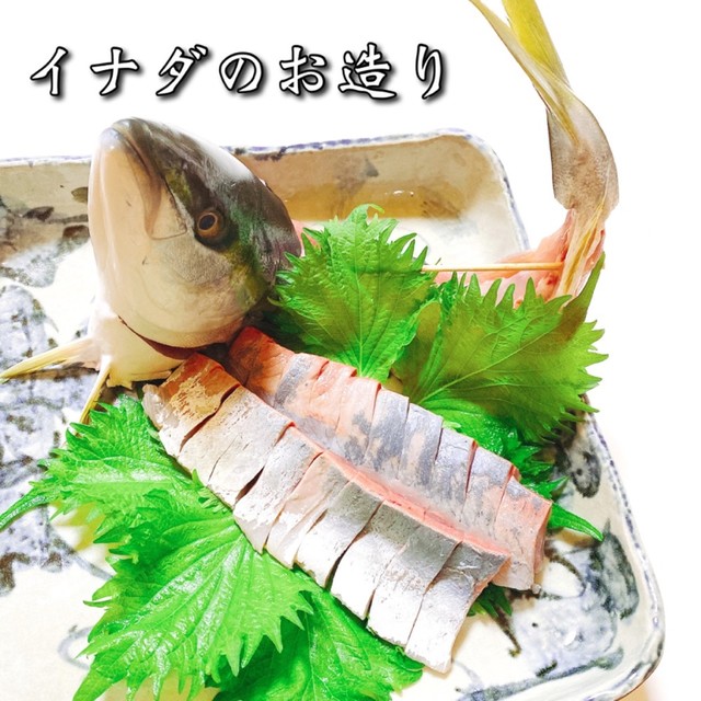 ハマチ イナダのお造り 捌き方 レシピ 作り方 By 1cchie クックパッド 簡単おいしいみんなのレシピが377万品