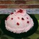 桜のドームケーキ