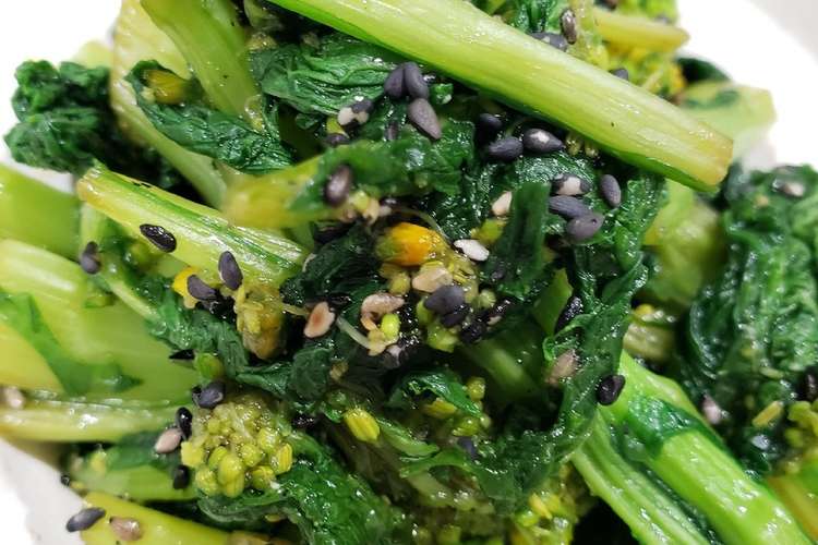 菜の花のごま和え 子供もパクパク レシピ 作り方 By かふかう クックパッド 簡単おいしいみんなのレシピが376万品