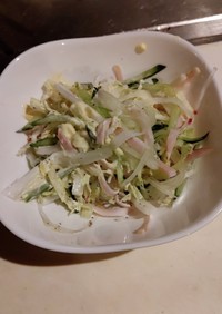 白菜大根キュウリの簡単サラダ