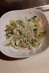 白菜大根キュウリの簡単サラダ