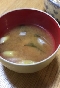 ねぎと豆腐とワカメの味噌汁