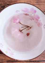 みんなが作ってる 桜茶 塩漬けのレシピ クックパッド 簡単おいしいみんなのレシピが349万品