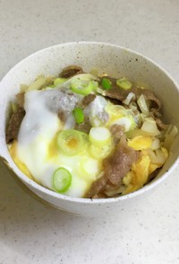 一人分★お肉が美味しい他人丼 