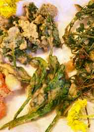 みんなが作ってる 野草 てんぷらのレシピ クックパッド 簡単おいしいみんなのレシピが351万品