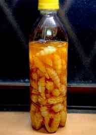 みんなが作ってる ちょろぎのレシピ クックパッド 簡単おいしいみんなのレシピが361万品