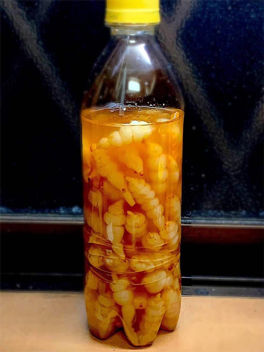 チョロギの梅酢漬けの画像