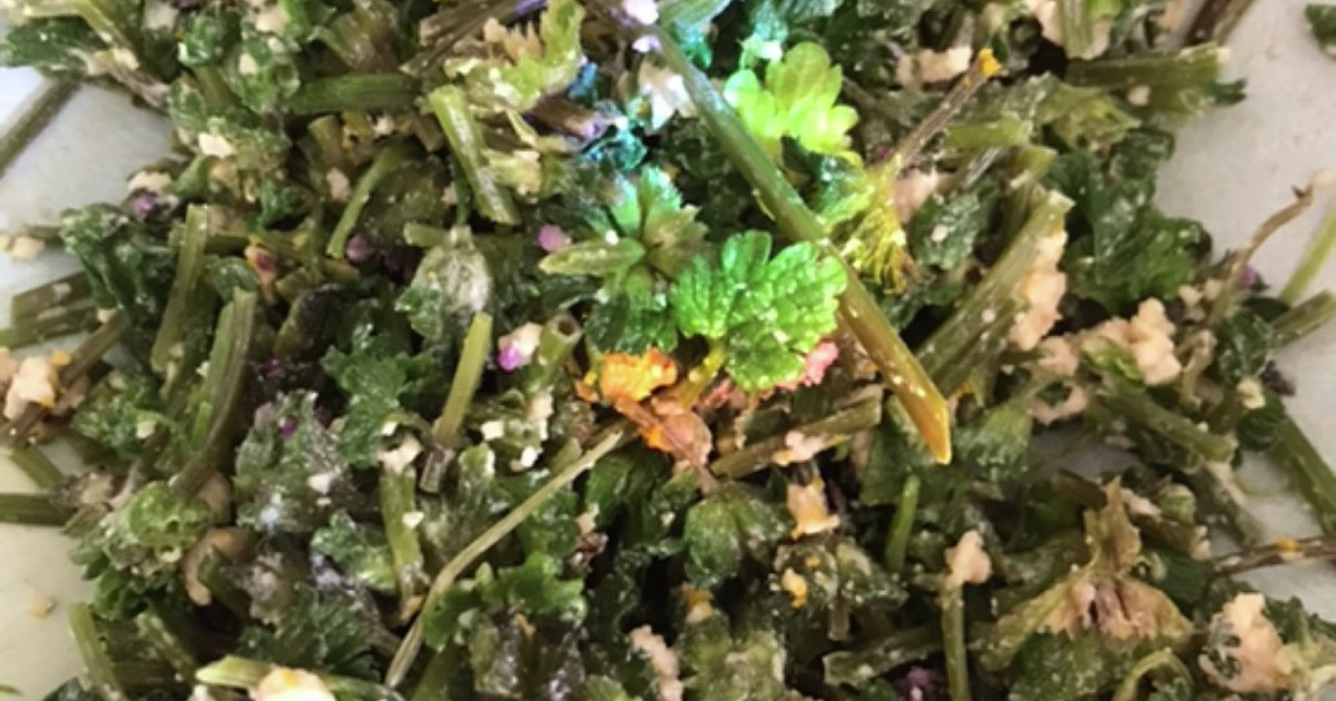 ホトケノザの柑橘カシューナッツ和え レシピ 作り方 By Qralahきゅらら クックパッド 簡単おいしいみんなのレシピが357万品