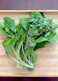 みんなが作ってる わさび菜 醤油漬けのレシピ クックパッド 簡単おいしいみんなのレシピが374万品