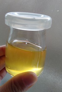 甘夏の発酵シロップ
