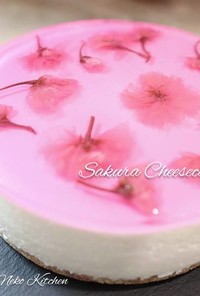 桜のレアチーズケーキ