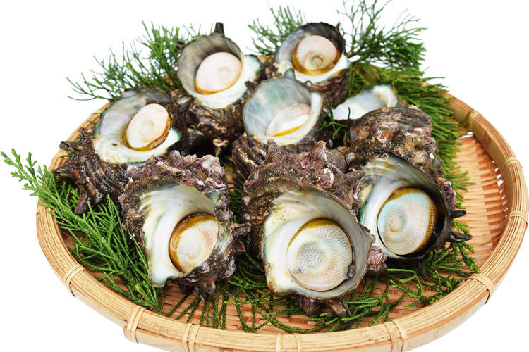 サザエの捌き方 よか魚 レシピ 作り方 By よか魚 クックパッド 簡単おいしいみんなのレシピが355万品