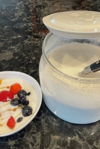 ココナッツミルクヨーグルトの作り方