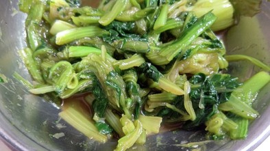 小松菜のわさび風味おひたしの写真