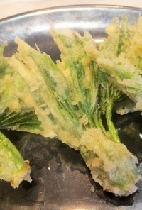 春の山菜ハリギリの天ぷら